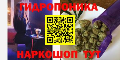 герыч Можга