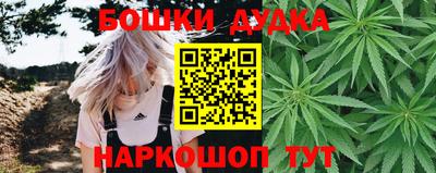 прущие крисы Моздок