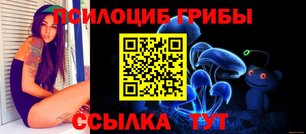 Урус-Мартан  Псилоцибиновые грибы MAGIC MUSHROOMS  Галлюциногенные грибы MAGIC MUSHROOMS  Вход с VPN 